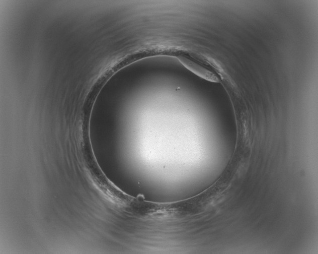 X0000078270447200611101112