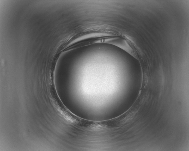 X0000078270453200611101112