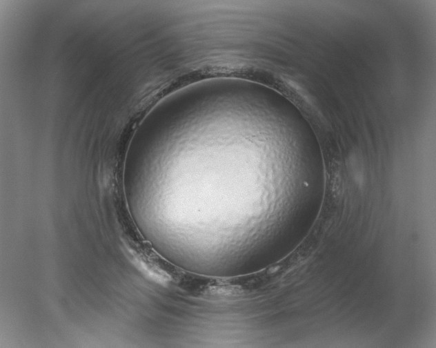 X0000078270455200611101112