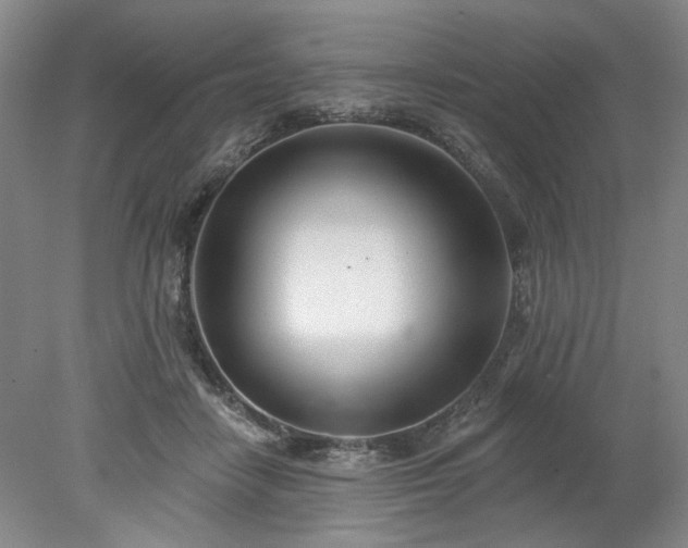X0000078270458200611101112
