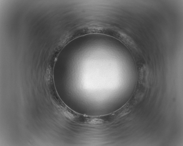 X0000078270463200611101112