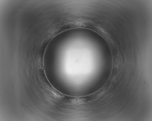 X0000078270465200611101112