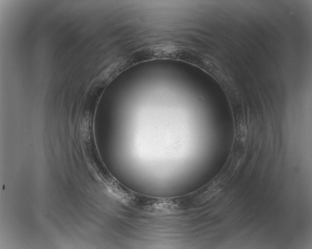 X0000078270468200611101112