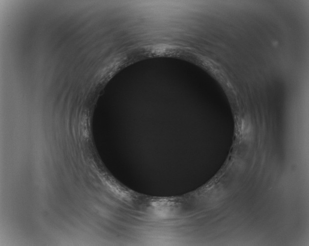 X0000078270470200611101112