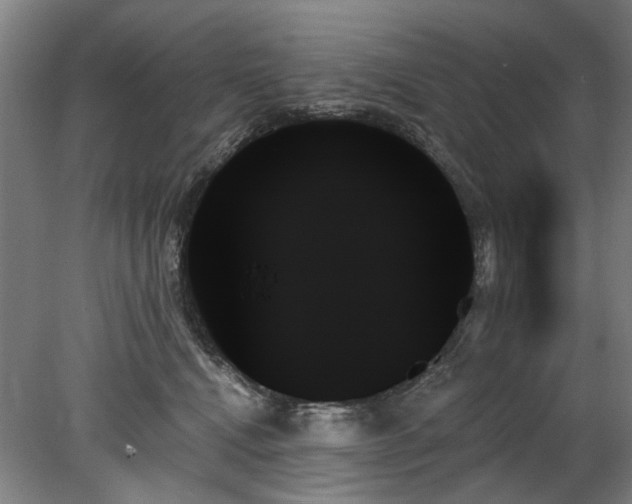 X0000078270472200611101112