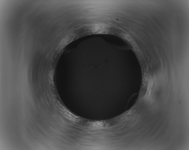 X0000078270473200611101112