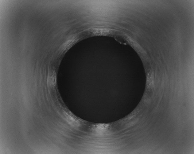 X0000078270474200611101112