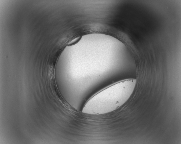 X0000078270478200611101112