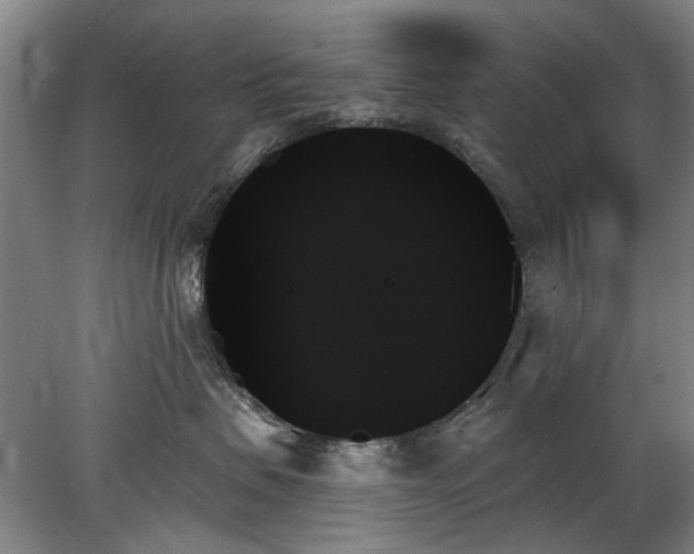 X0000078270479200611101112