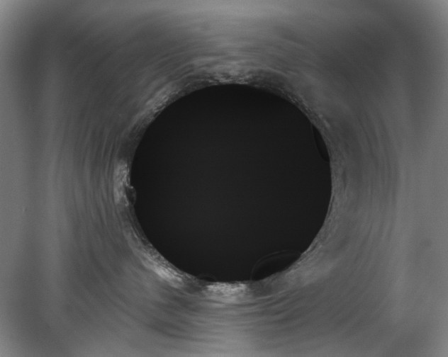 X0000078270480200611101112