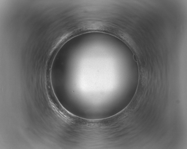 X0000078270482200611101111