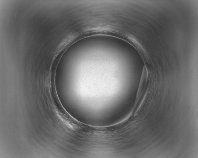 X0000078270486200611101111