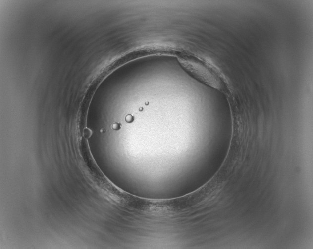 X0000078270487200611101111
