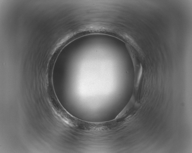 X0000078270488200611101111