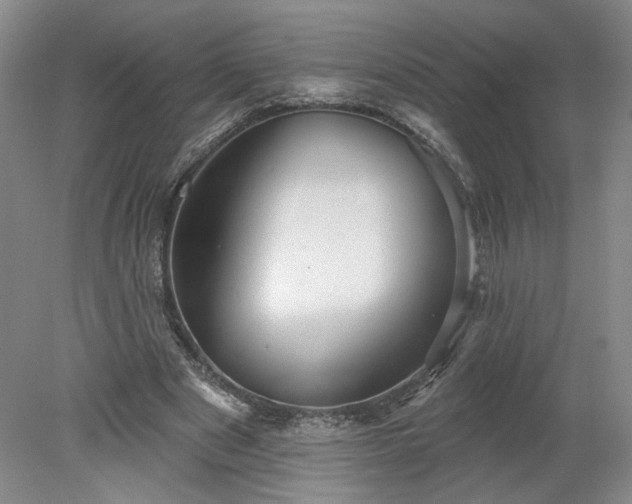 X0000078270489200611101111