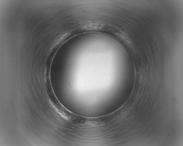 X0000078270490200611101111