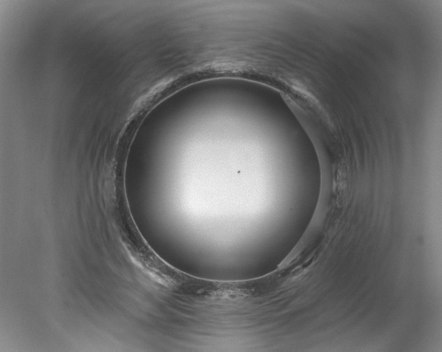 X0000078270492200611101111