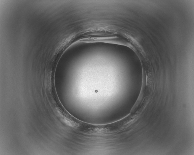 X0000078270493200611101111