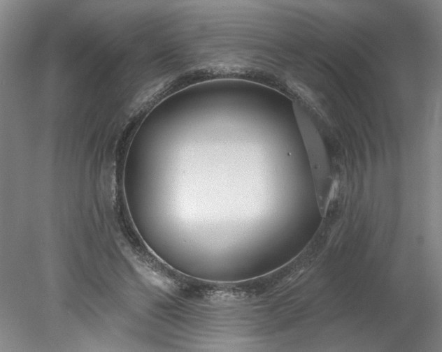 X0000078270494200611101111
