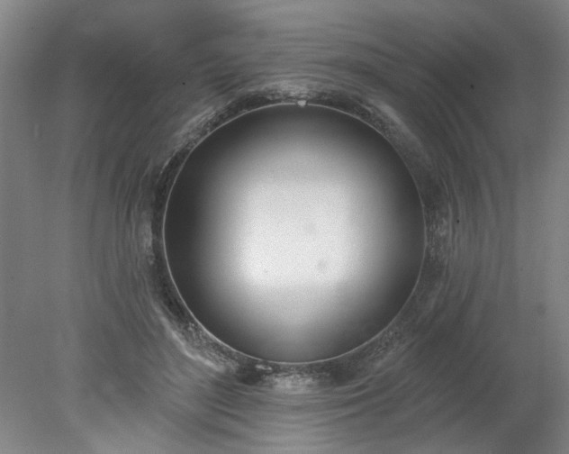 X0000078270500200611101111