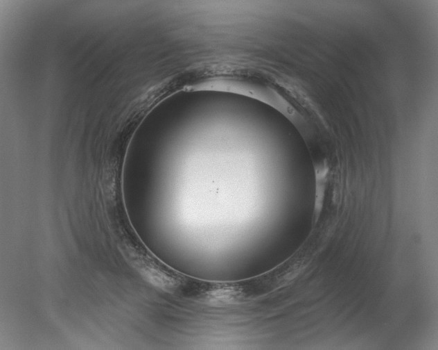 X0000078270505200611101111
