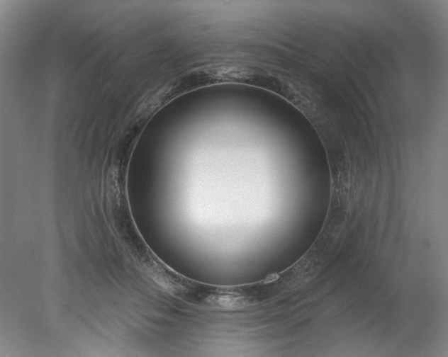 X0000078270506200611101111