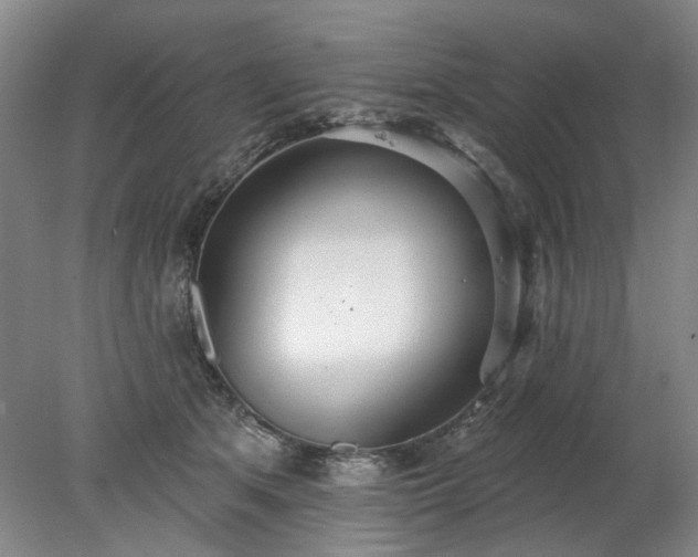 X0000078270513200611101111