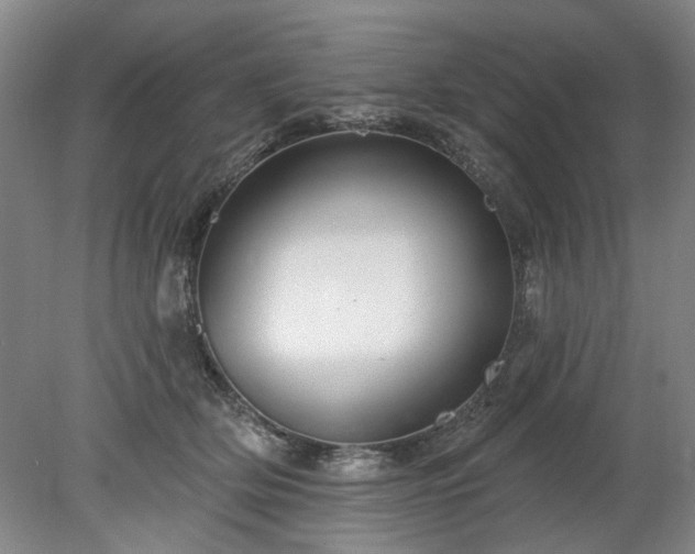 X0000078270514200611101111