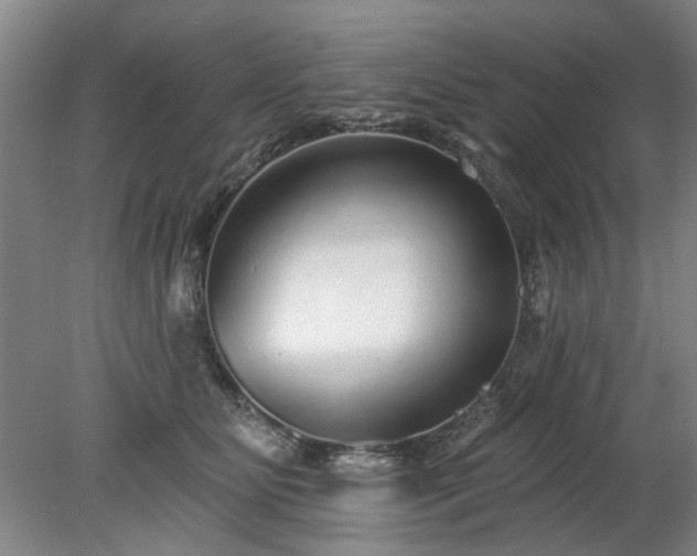 X0000078270515200611101111