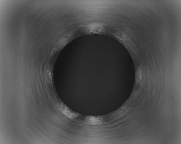 X0000078270522200611101111