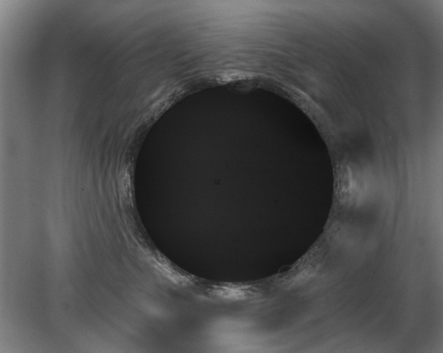X0000078270523200611101111