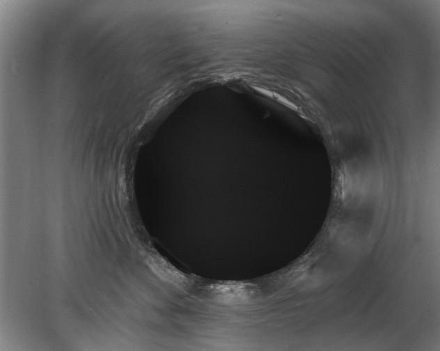 X0000078270524200611101111