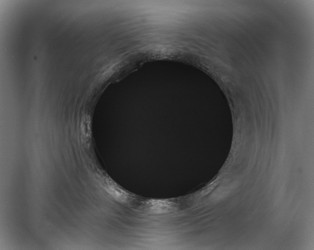 X0000078270528200611101111