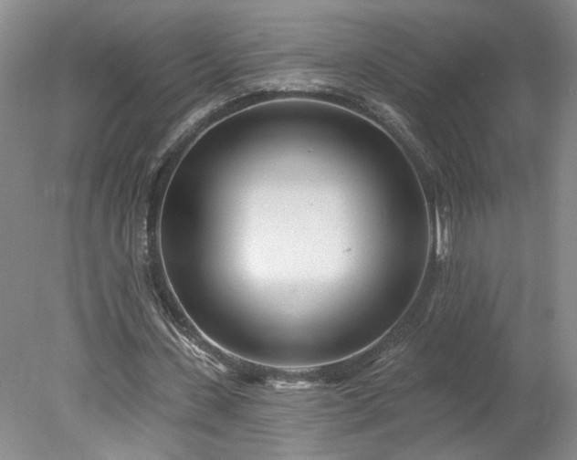 X0000078270531200611101110