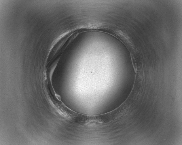 X0000078270536200611101110