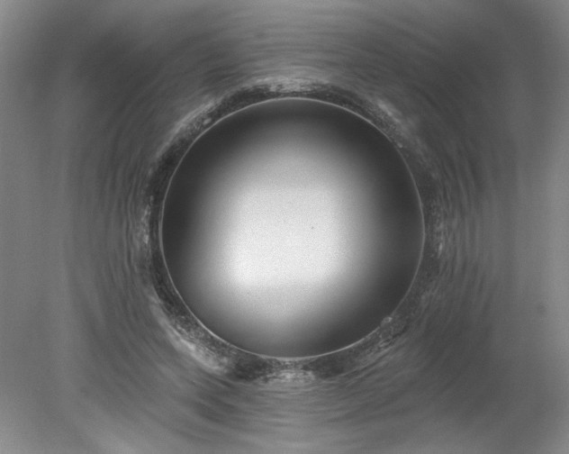 X0000078270543200611101110