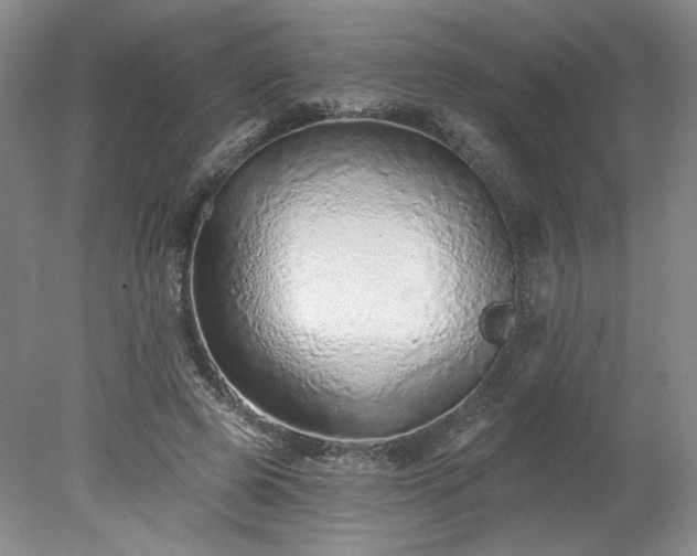 X0000078270545200611101110