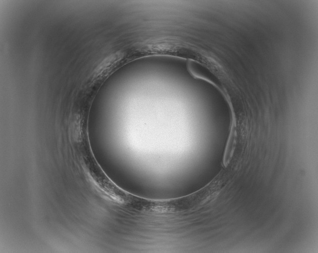 X0000078270546200611101110