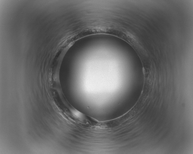 X0000078270548200611101110