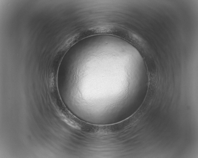 X0000078270549200611101110