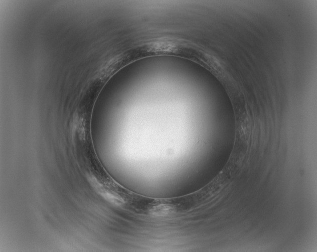 X0000078270551200611101110