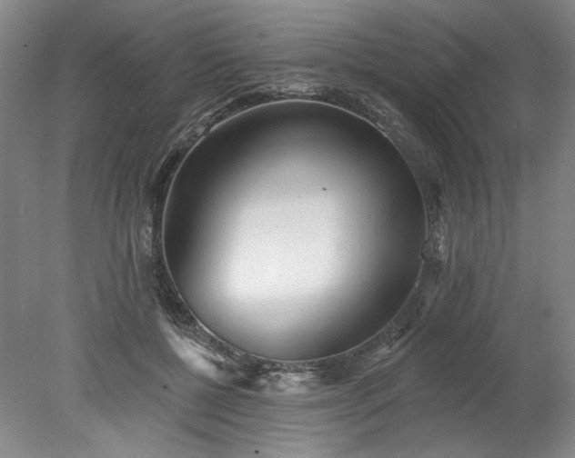 X0000078270552200611101110