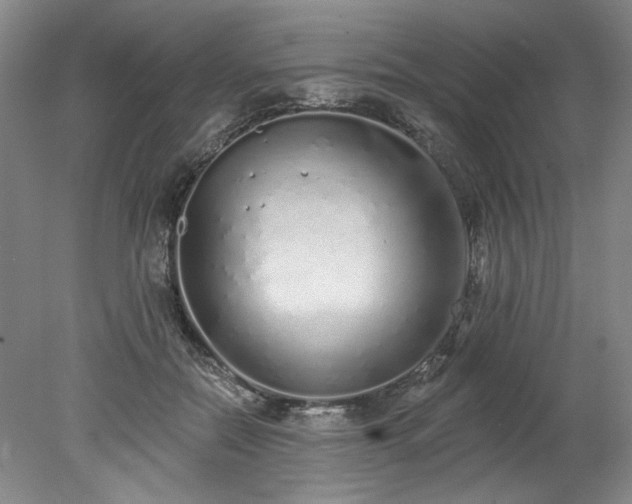 X0000078270554200611101110