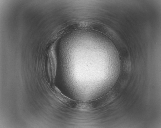 X0000078270557200611101110