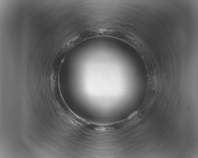 X0000078270558200611101110