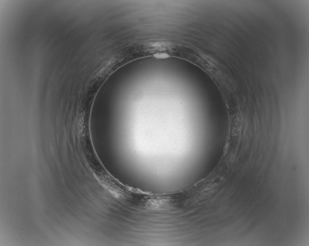 X0000078270560200611101110