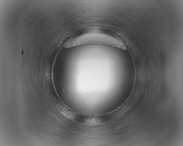 X0000078270561200611101110