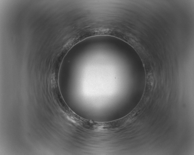 X0000078270564200611101110