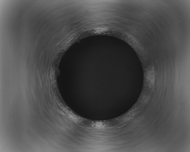 X0000078270565200611101110