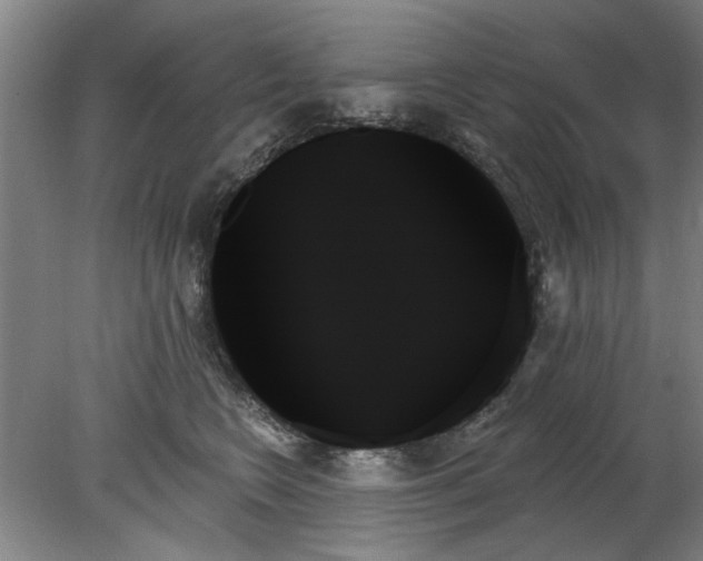 X0000078270566200611101110